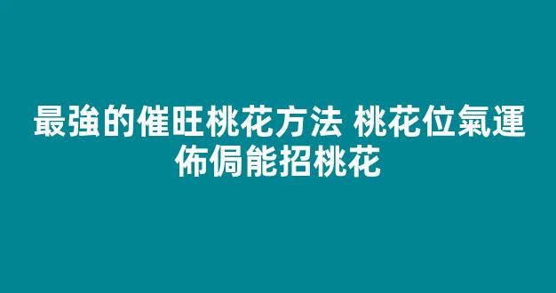 最強的催旺桃花方法 桃花位氣運佈侷能招桃花